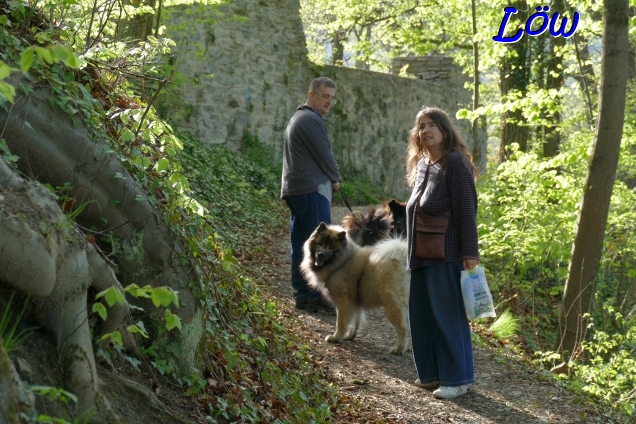 19.4.2025 - Um die Burg